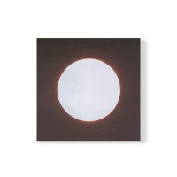                                                                  Настенный/Потолочный светильник Leucos                                        <span>GIO 40 P-PL Wenge</span>                  