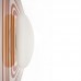                                                                  Настенный/Потолочный светильник Leucos                                        <span>CORA 65 P-PL Arancio</span>                  