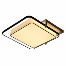Светильник потолочный Escada Lavoria 10242/2LED