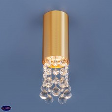 Накладной потолочный светильник Elektrostandard 1084 GU10 GD золото a040974