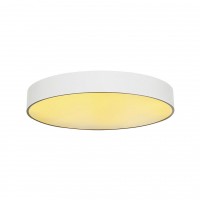 Светильник накладной SLV Medo 60 Led 135121