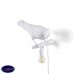                                                                  Настенный светильник Seletti                                        <span>Bird Lamp White Looking Right</span>                  