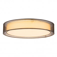 Потолочный светодиодный светильник Globo Teo 15190D4