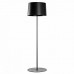 Торшер Foscarini 159004 20 Twiggy
