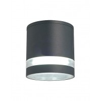 Уличный потолочный светодиодный светильник Favourite Flicker 1830-1U