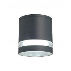 Уличный потолочный светодиодный светильник Favourite Flicker 1830-1U