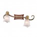 Спот Odeon Light ILSA 1968/2W