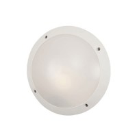 Светильник уличный настенно-потолочный Fumagalli LUCIA 1R3.000.000.WYE27