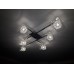 Люстра потолочная Odeon Light FORTA 2006/6C