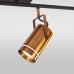 Спот с пультом Eurosvet Bronze 20063/6 LED античная бронза