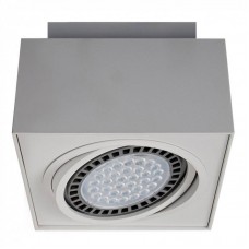 Точечный светильник ZUMALINE(BOXY) 20074-WH Точечный светильник ZUMALINE(BOXY) 20074-WH