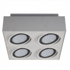 Точечный светильник ZUMALINE(BOXY) 20076-WH Точечный светильник ZUMALINE(BOXY) 20076-WH