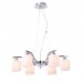 Подвесная люстра Silver Light Tulip 202.54.6
