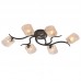 Люстра IDLamp 207/6PF-Black
