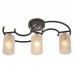 Светильник IDLamp 208/3PF-Blackchrome