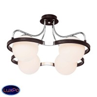 Потолочная люстра Silver Light Globe 209.59.4