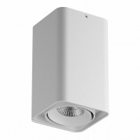 Накладной точечный светильник Lightstar MONOCCO 212536