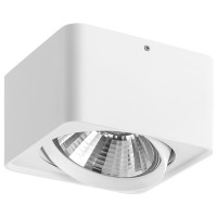 Светильник накладной Lightstar Monocco 212616