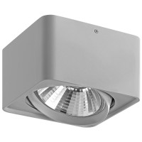 Светильник накладной Lightstar Monocco 212619