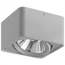 Светильник накладной Lightstar Monocco 212619