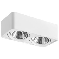 Светильник накладной Lightstar Monocco 212626