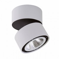 Светодиодный накладной светильник LIGHTSTAR FORTE 213839