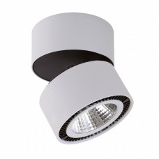 Светодиодный накладной светильник LIGHTSTAR FORTE 213859