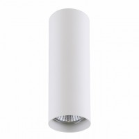 Накладной точечный светильник Lightstar RULLO 214496