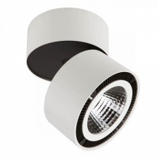 Светильник накладной светодиодный Lightstar Forte Muro 214830