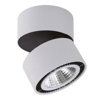 Светильник накладной светодиодный Lightstar Forte Muro 214839