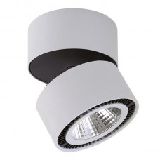 Светильник накладной светодиодный Lightstar Forte Muro 214839