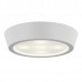 Накладной светильник Lightstar Urbano 214902