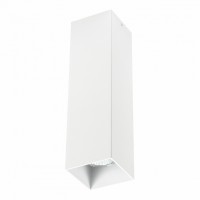 Светильник точечный накладной декоративный Lightstar Rullo 216596