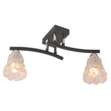 Светильник IDLamp 217/2PF-Blackchrome Светильник IDLamp 217/2PF-Blackchrome