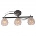 Светильник IDLamp 218/3PF-Blackchrome