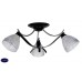 Потолочная люстра Silver Light Katarini 221.59.3