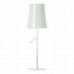 Настольная лампа Foscarini(Birdie) 2210012L-10