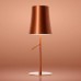 Настольная лампа Foscarini(Birdie) 221001L-80