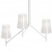 Люстра Foscarini 2210083 10 Birdie
