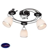 Потолочная люстра Silver Light Austerity 223.59.3