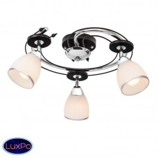 Потолочная люстра Silver Light Austerity 223.59.3
