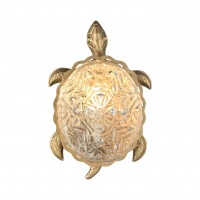 Светильник настенный Favourite Turtle 2254-1W
