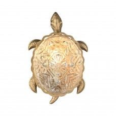 Светильник настенный Favourite Turtle 2254-1W