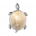 Светильник настенный Favourite Turtle 2255-1W