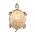 Светильник настенный Favourite Turtle 2256-1W