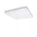 Светодиодный потолочный накладной светильник LIGHTSTAR ARCO 226202
