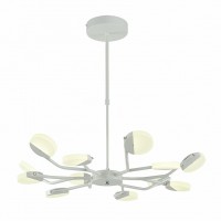 Люстра потолочная Favourite Mense 2264-12P