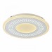 Светильник потолочный F-Promo Ledolution 2273-5C