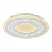 Светильник потолочный F-Promo Ledolution 2273-5C