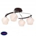 Потолочная люстра Silver Light Aranda 228.59.4